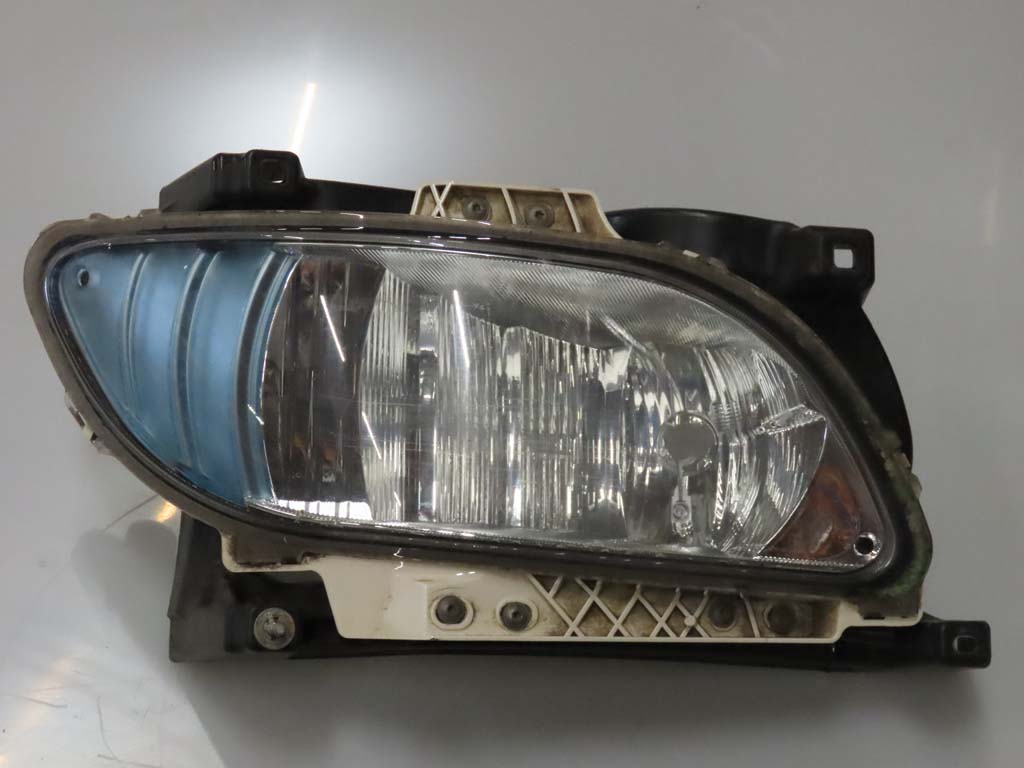 Mistlamp Re. DAF CF